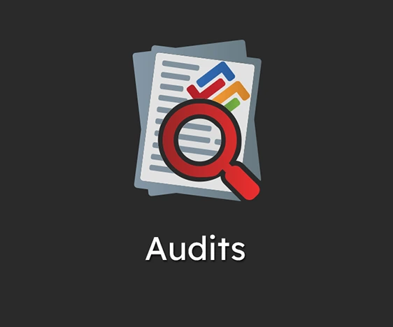 Audits