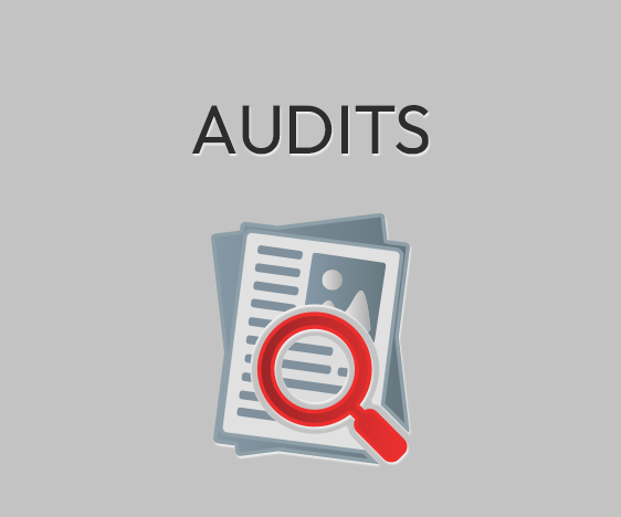 Audits